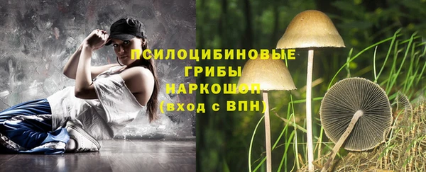 не бодяженный Аркадак