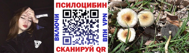 ОМГ ОМГ ссылка  Салехард  Галлюциногенные грибы мухоморы  где продают  